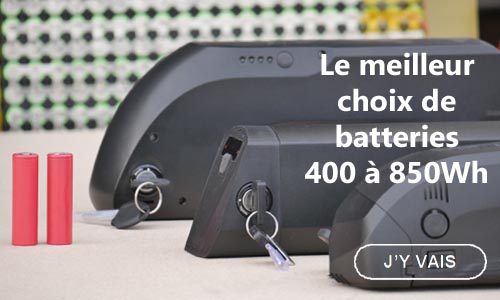 Batterie pour vélo electrique